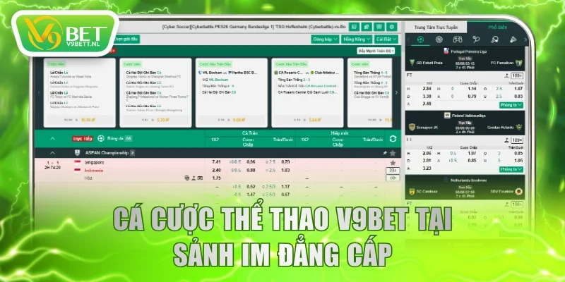 Cá cược thể thao V9BET tại sảnh IM đẳng cấp