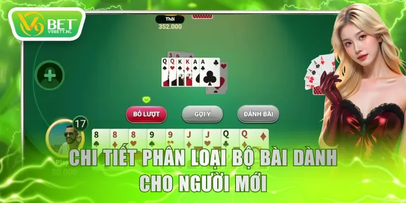 Chi tiết phân loại bộ bài dành cho người mới